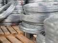 Проволока никелевая 0.8 мм ПАНЧ 11