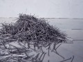 Фибра стальная 45 мм Ст10