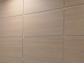 Сэндвич-панель стеновая с ЛДСП 250 мм