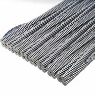 Канаты плоские 119х19.5х2.1 мм