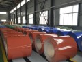 Окрашенный рулон 0.95 мм